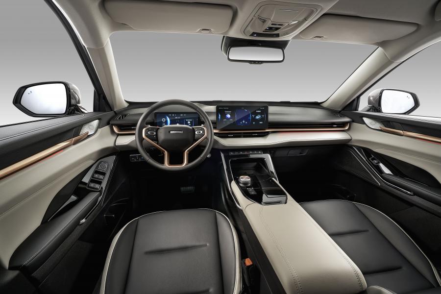 Торпедо Haval H6 2020 года  (фото 11 из 11)